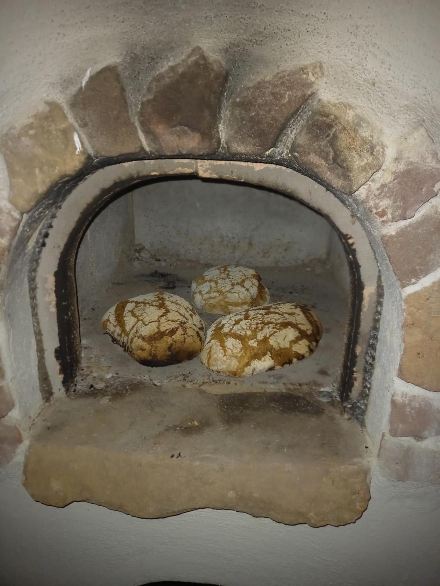 Apartment Wickys Igelnest